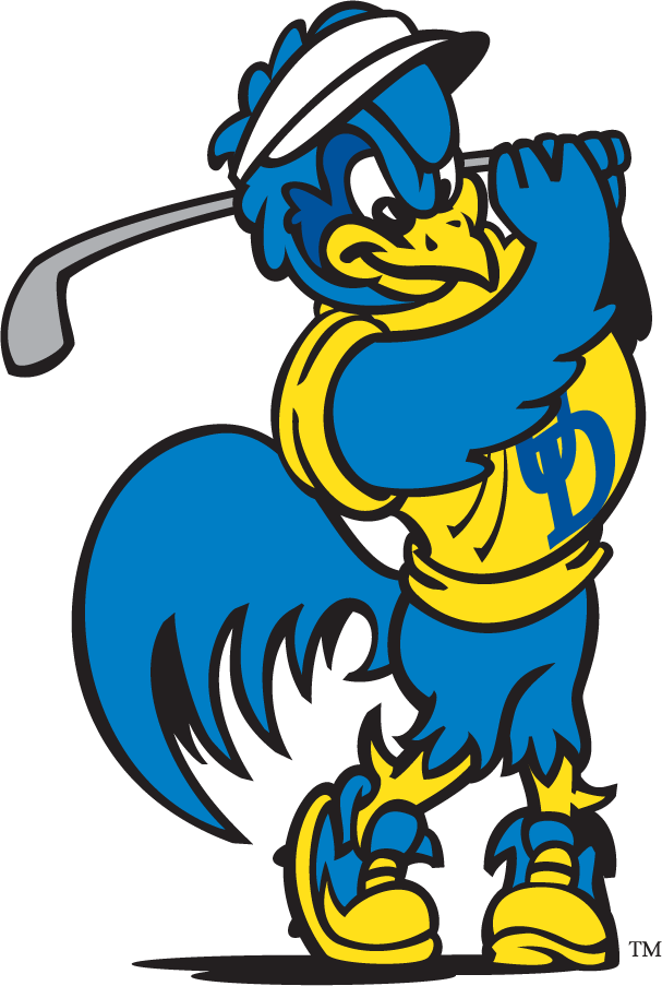 Delaware Blue Hens 1999-2009 Mascot Logo v7 t shirts iron on transfers